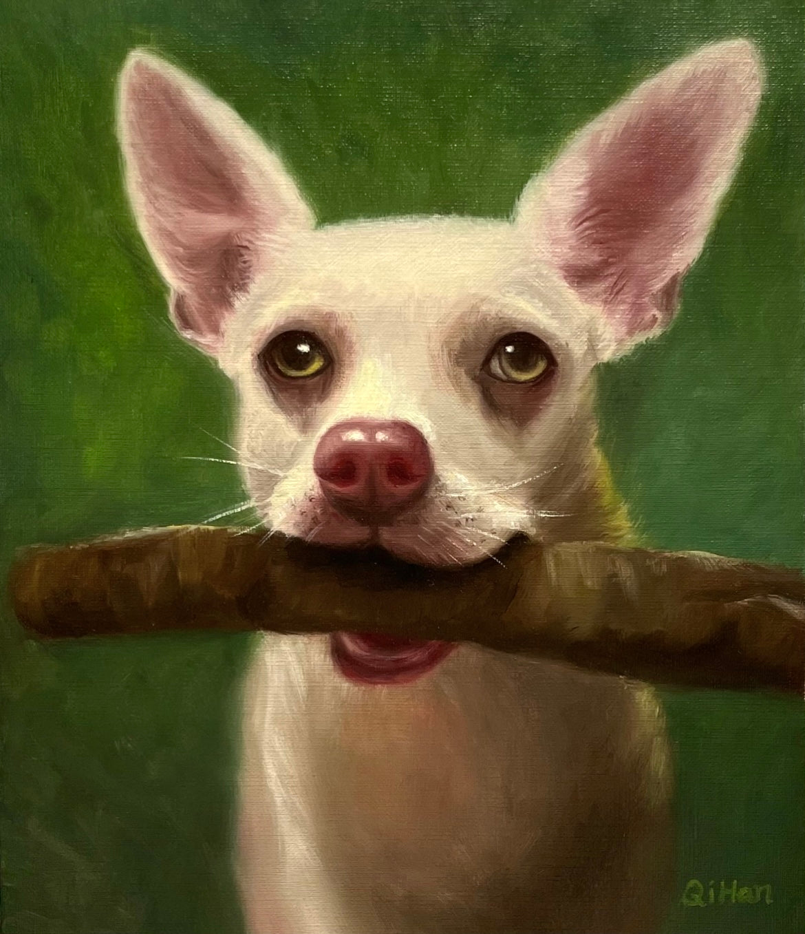 Commission Pet / Wildlife Oil Portrait