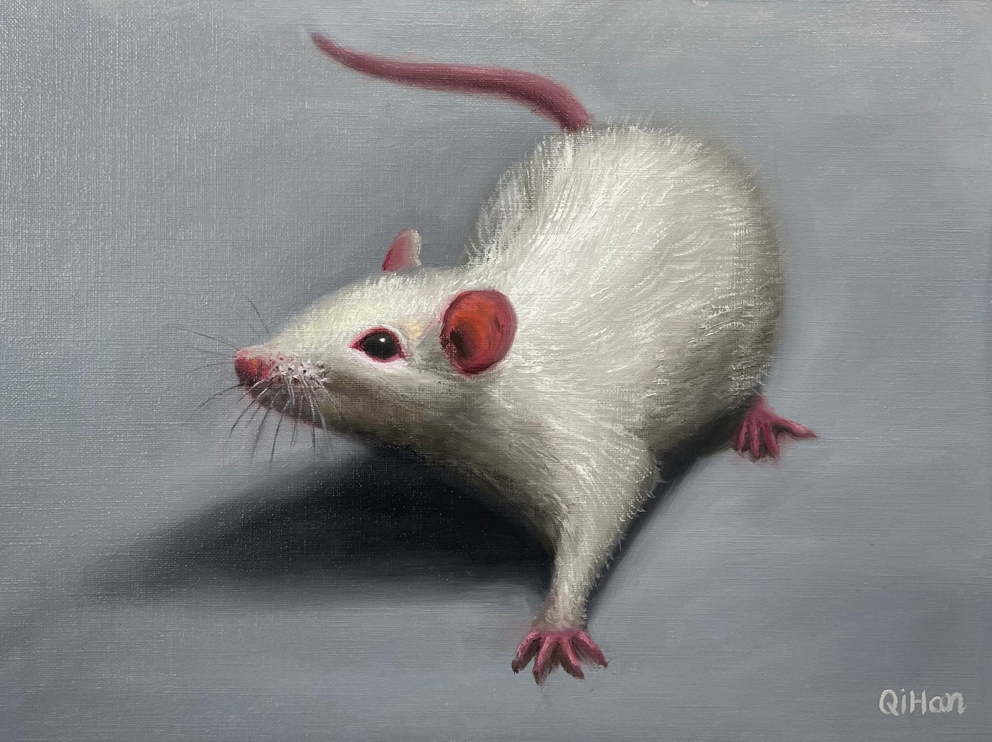 Commission Pet / Wildlife Oil Portrait
