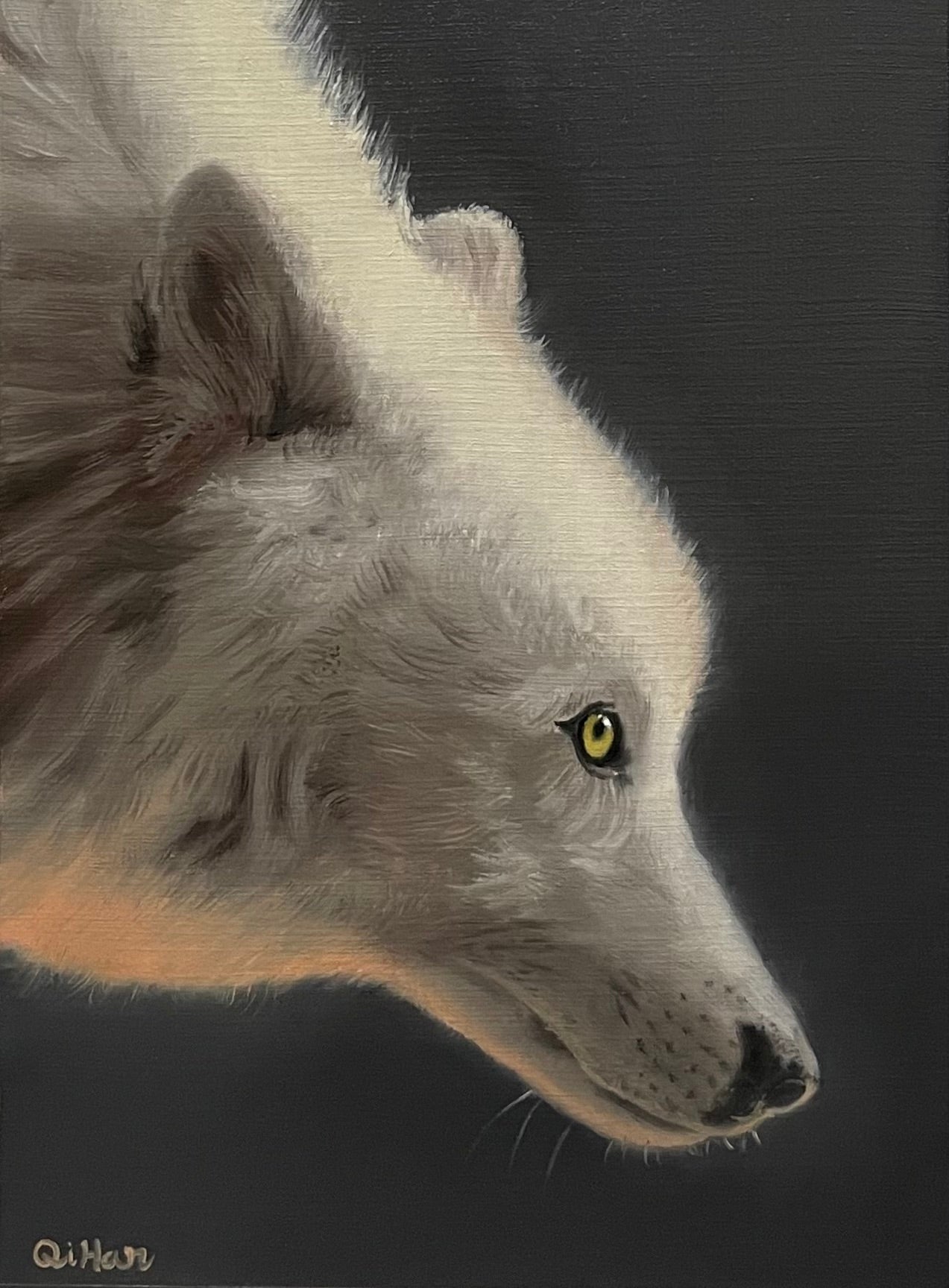 Commission Pet / Wildlife Oil Portrait